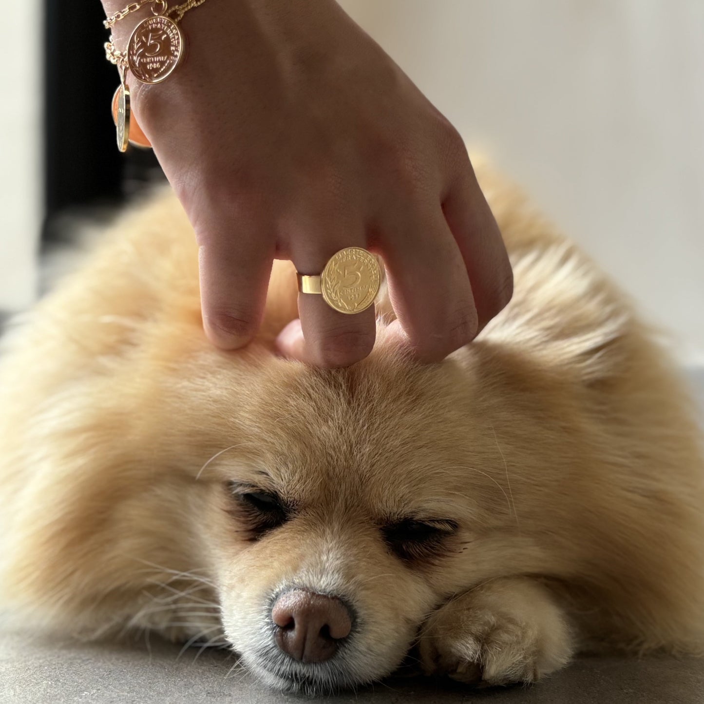 Bague Prune - 5 centimes